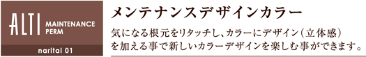 ƥʥ󥹥ǥ󥫥顼 ˤʤ뺬꥿å顼˥ǥΩδˤäǿ顼ǥڤǤޤ
